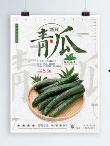 黑瓜吃料正能量官网下载,下载之旅，收获满满